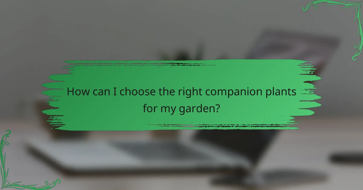 How can I choose the right companion plants for my garden?