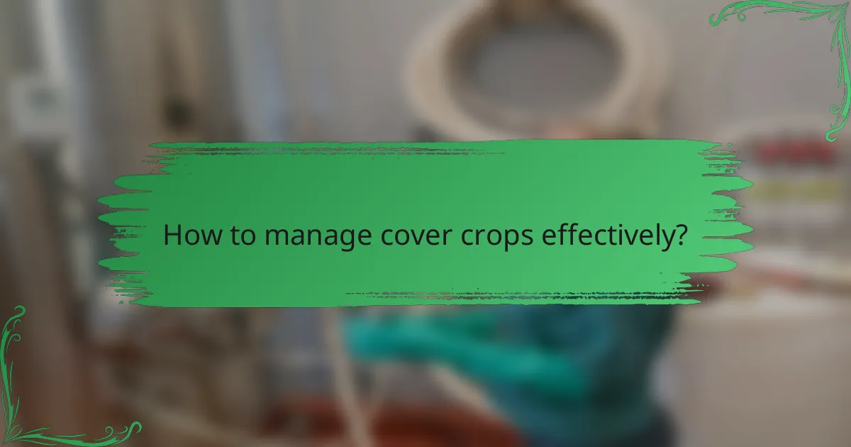 How to manage cover crops effectively?