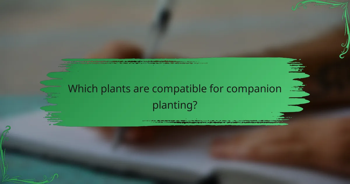 Which plants are compatible for companion planting?
